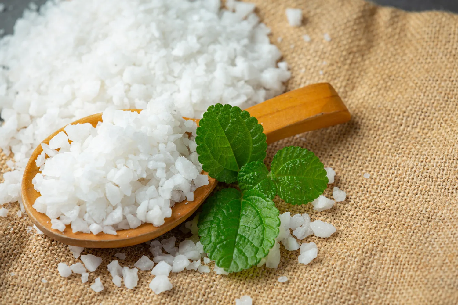 Camphor & Derivates